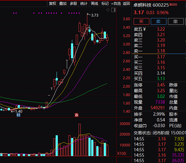 连续5年造假！这只A股，面临强制退市！-第3张图片-出行攻略网