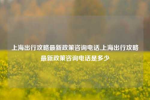 上海出行攻略最新政策咨询电话,上海出行攻略最新政策咨询电话是多少-第1张图片-出行攻略网