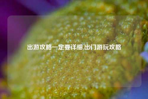 出游攻略一定要详细,出门游玩攻略-第1张图片-出行攻略网