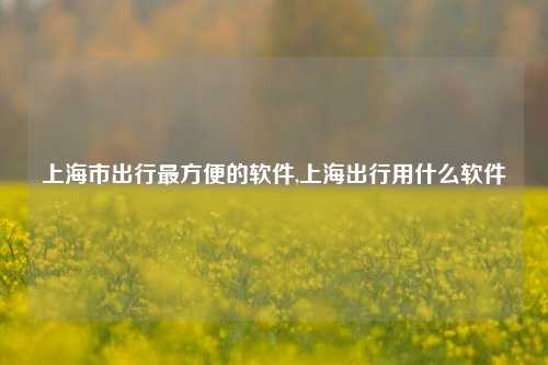 上海市出行最方便的软件,上海出行用什么软件-第1张图片-出行攻略网