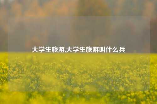 大学生旅游,大学生旅游叫什么兵-第1张图片-出行攻略网