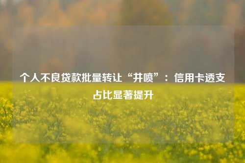 个人不良贷款批量转让“井喷”：信用卡透支占比显著提升-第1张图片-出行攻略网