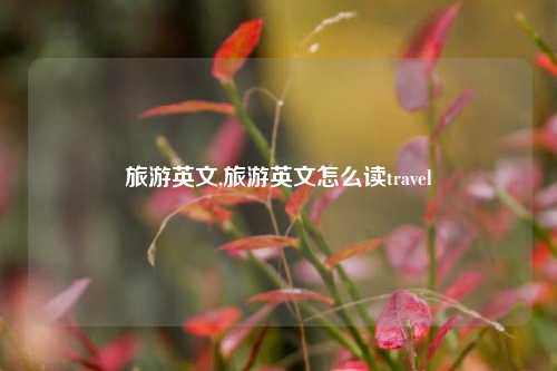 旅游英文,旅游英文怎么读travel-第1张图片-出行攻略网