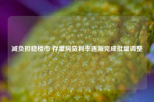 减负担稳楼市 存量房贷利率逐渐完成批量调整-第1张图片-出行攻略网