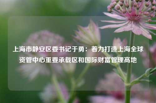 上海市静安区委书记于勇：着力打造上海全球资管中心重要承载区和国际财富管理高地-第1张图片-出行攻略网