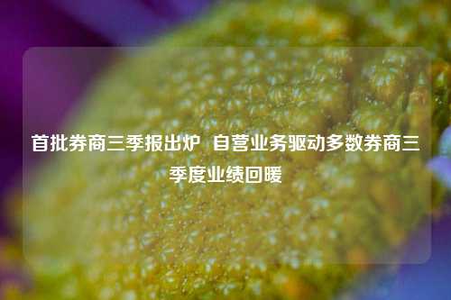 首批券商三季报出炉  自营业务驱动多数券商三季度业绩回暖-第1张图片-出行攻略网