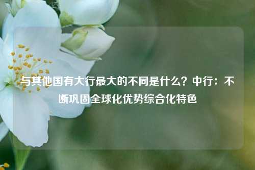 与其他国有大行最大的不同是什么？中行：不断巩固全球化优势综合化特色-第1张图片-出行攻略网