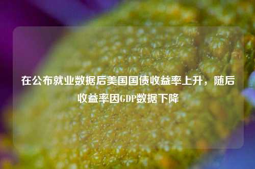 在公布就业数据后美国国债收益率上升，随后收益率因GDP数据下降-第1张图片-出行攻略网