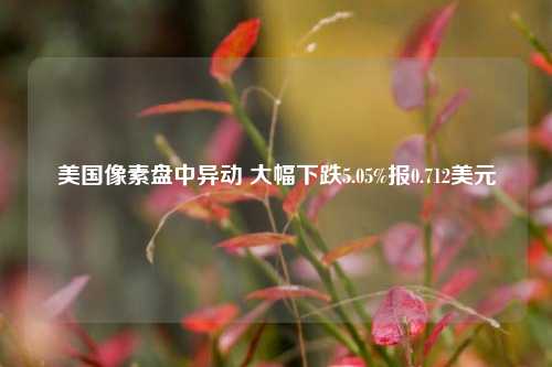 美国像素盘中异动 大幅下跌5.05%报0.712美元-第1张图片-出行攻略网