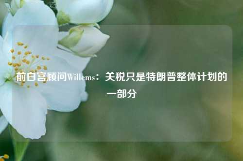 前白宫顾问Willems：关税只是特朗普整体计划的一部分-第1张图片-出行攻略网