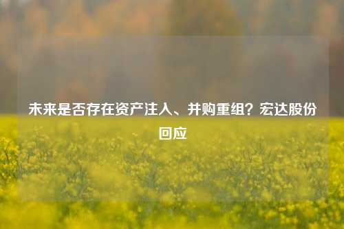 未来是否存在资产注入、并购重组？宏达股份回应-第1张图片-出行攻略网