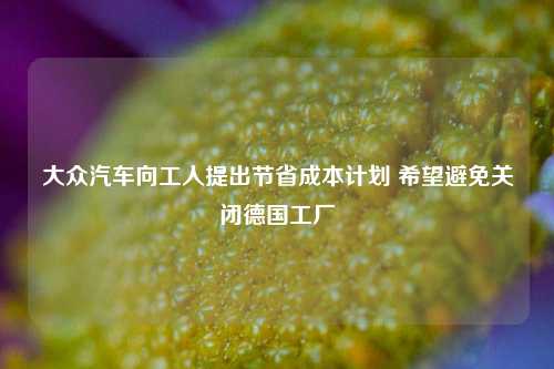 大众汽车向工人提出节省成本计划 希望避免关闭德国工厂-第1张图片-出行攻略网