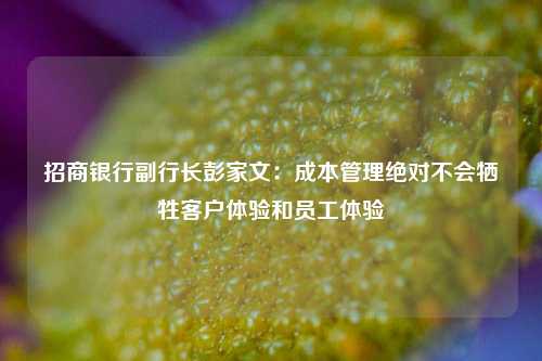 招商银行副行长彭家文：成本管理绝对不会牺牲客户体验和员工体验-第1张图片-出行攻略网