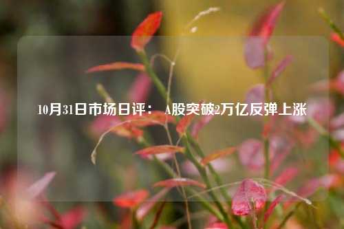 10月31日市场日评： A股突破2万亿反弹上涨-第1张图片-出行攻略网