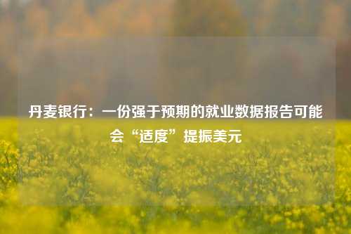 丹麦银行：一份强于预期的就业数据报告可能会“适度”提振美元-第1张图片-出行攻略网