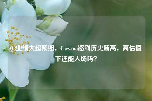 Q3业绩大超预期，Carvana怒刷历史新高，高估值下还能入场吗？-第1张图片-出行攻略网