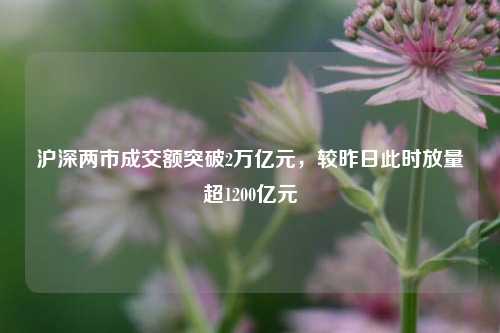 沪深两市成交额突破2万亿元，较昨日此时放量超1200亿元-第1张图片-出行攻略网