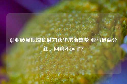 Q3业绩展现增长潜力获华尔街盛赞 亚马逊离分红、回购不远了？-第1张图片-出行攻略网