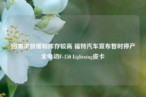 因需求放缓和库存较高 福特汽车宣布暂时停产全电动F-150 Lightning皮卡-第1张图片-出行攻略网