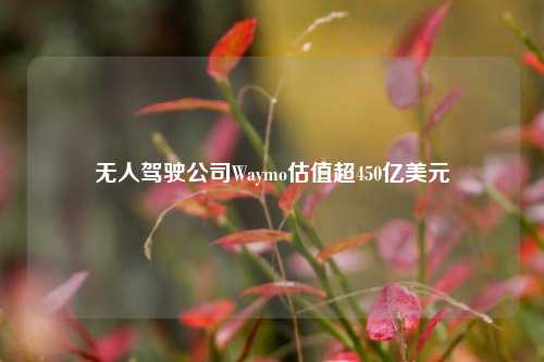 无人驾驶公司Waymo估值超450亿美元-第1张图片-出行攻略网