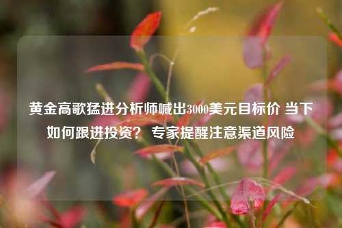 黄金高歌猛进分析师喊出3000美元目标价 当下如何跟进投资？ 专家提醒注意渠道风险-第1张图片-出行攻略网