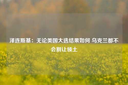 泽连斯基：无论美国大选结果如何 乌克兰都不会割让领土-第1张图片-出行攻略网