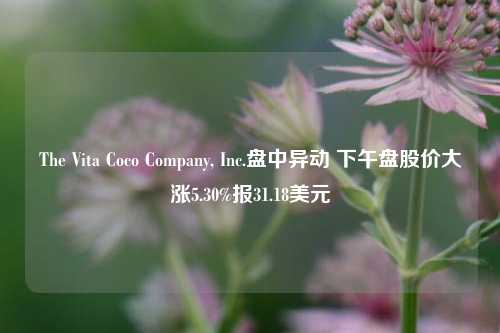 The Vita Coco Company, Inc.盘中异动 下午盘股价大涨5.30%报31.18美元-第1张图片-出行攻略网