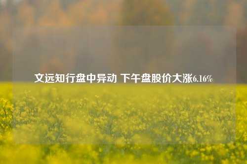 文远知行盘中异动 下午盘股价大涨6.16%-第1张图片-出行攻略网