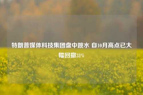 特朗普媒体科技集团盘中跳水 自10月高点已大幅回撤31%-第1张图片-出行攻略网