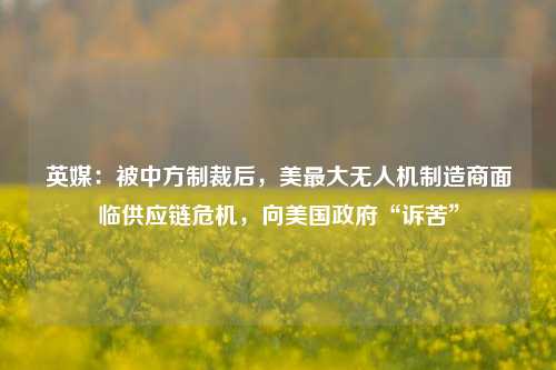 英媒：被中方制裁后，美最大无人机制造商面临供应链危机，向美国政府“诉苦”-第1张图片-出行攻略网