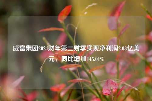 威富集团2024财年第三财季实现净利润2.03亿美元，同比增加145.01%-第1张图片-出行攻略网