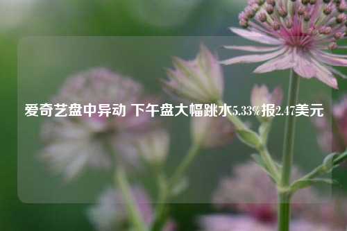 爱奇艺盘中异动 下午盘大幅跳水5.33%报2.47美元-第1张图片-出行攻略网