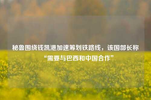 秘鲁围绕钱凯港加速筹划铁路线，该国部长称“需要与巴西和中国合作”-第1张图片-出行攻略网