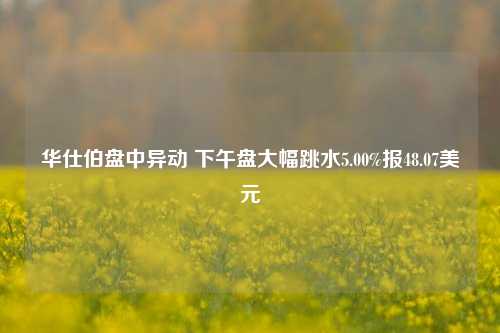 华仕伯盘中异动 下午盘大幅跳水5.00%报48.07美元-第1张图片-出行攻略网