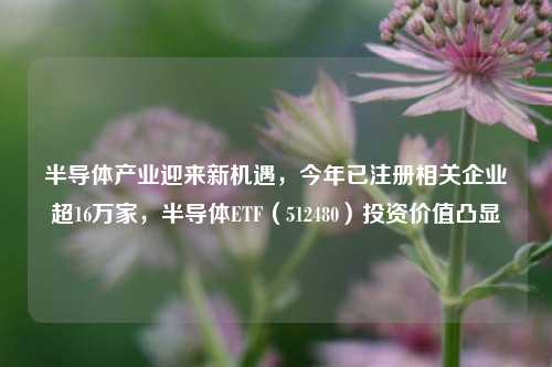 半导体产业迎来新机遇，今年已注册相关企业超16万家，半导体ETF（512480）投资价值凸显