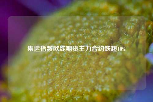 集运指数欧线期货主力合约跌超10%