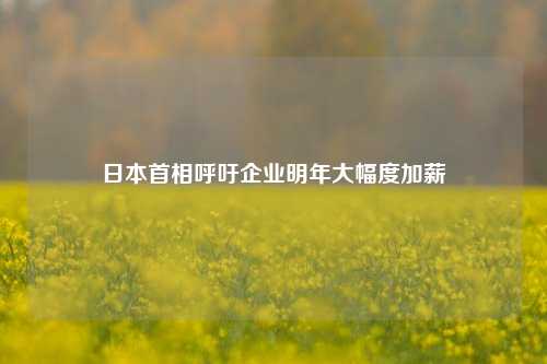 日本首相呼吁企业明年大幅度加薪