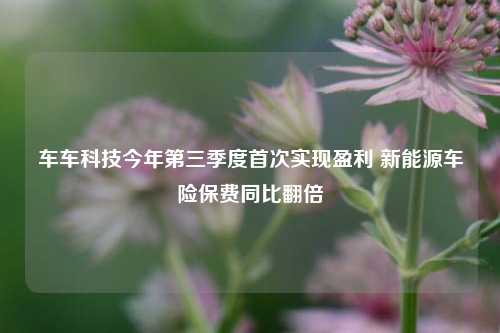 车车科技今年第三季度首次实现盈利 新能源车险保费同比翻倍