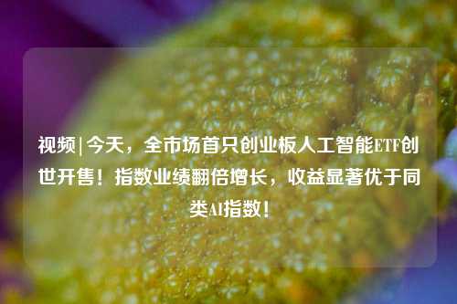 视频|今天，全市场首只创业板人工智能ETF创世开售！指数业绩翻倍增长，收益显著优于同类AI指数！