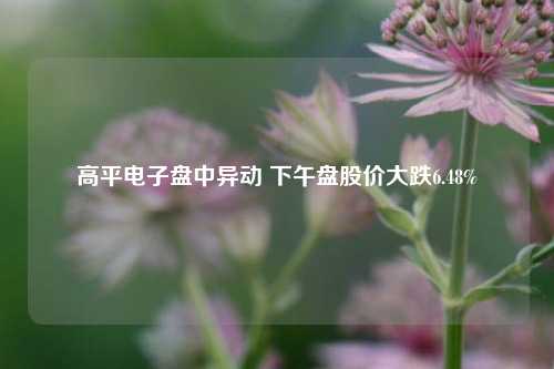 高平电子盘中异动 下午盘股价大跌6.48%