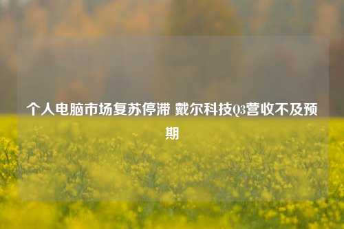 个人电脑市场复苏停滞 戴尔科技Q3营收不及预期