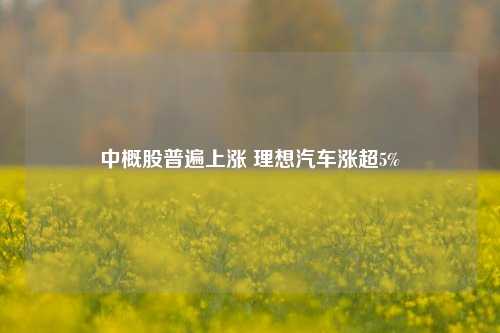 中概股普遍上涨 理想汽车涨超5%