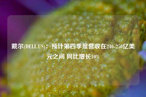 戴尔(DELL.US)：预计第四季度营收在240-250亿美元之间 同比增长10%