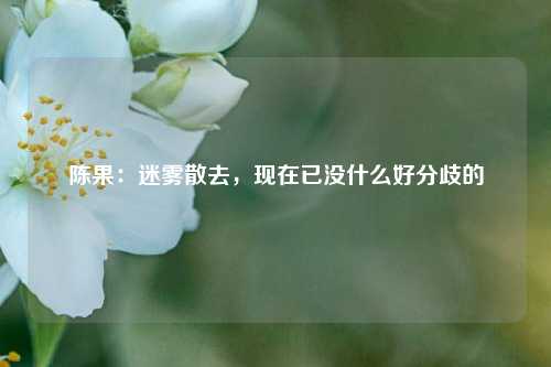 陈果：迷雾散去，现在已没什么好分歧的