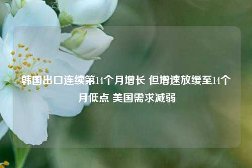 韩国出口连续第14个月增长 但增速放缓至14个月低点 美国需求减弱