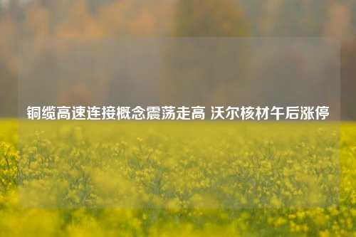 铜缆高速连接概念震荡走高 沃尔核材午后涨停