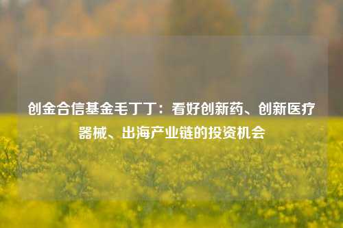 创金合信基金毛丁丁：看好创新药、创新医疗器械、出海产业链的投资机会