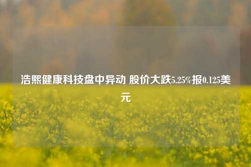 浩熙健康科技盘中异动 股价大跌5.25%报0.125美元