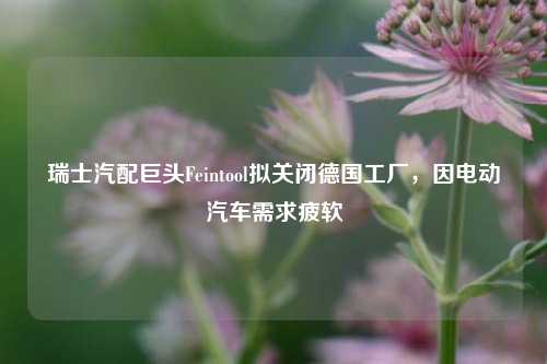 瑞士汽配巨头Feintool拟关闭德国工厂，因电动汽车需求疲软