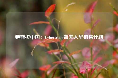 特斯拉中国：Cybertruck暂无入华销售计划